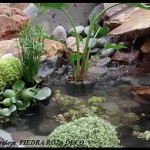 IMG_20150701_155603544