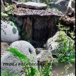 IMG_20151211_141535041_HDR